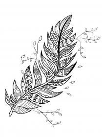Feather coloring pages for Adults - Free printable