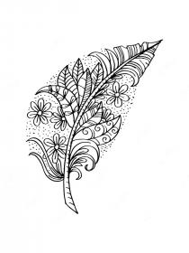 Feather coloring pages for Adults - Free printable