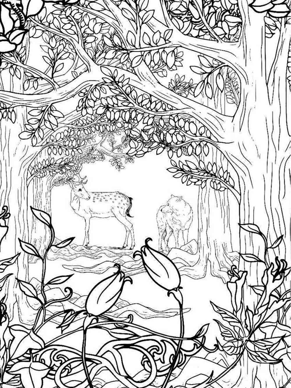 Forest coloring pages for Adults