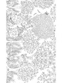 Forest coloring pages for Adults - Free printable
