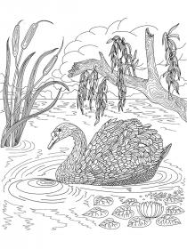 Lake coloring pages for Adults - Free printable