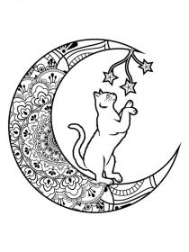 Moon coloring pages for Adults - Free printable
