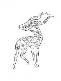 Antelope coloring pages for Adults - Free printable