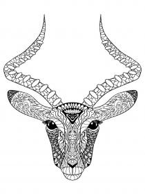 Antelope coloring pages for Adults - Free printable