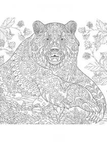 Медведь на бревне - Free printable