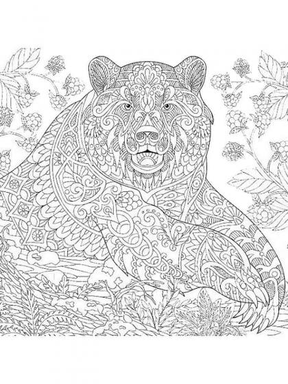 Bears coloring pages for Adults | Free Download and Print