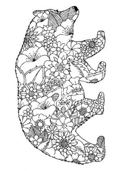 Bears coloring pages for Adults | Free Download and Print