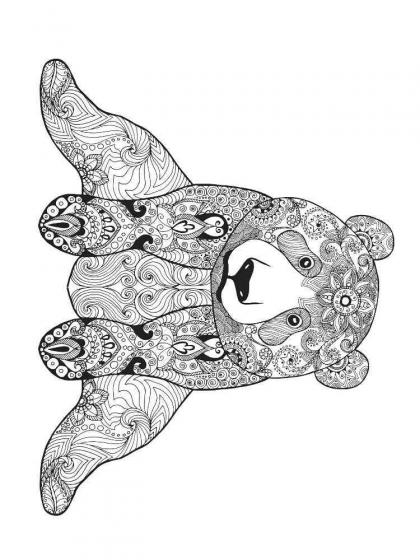 Bears coloring pages for Adults | Free Download and Print