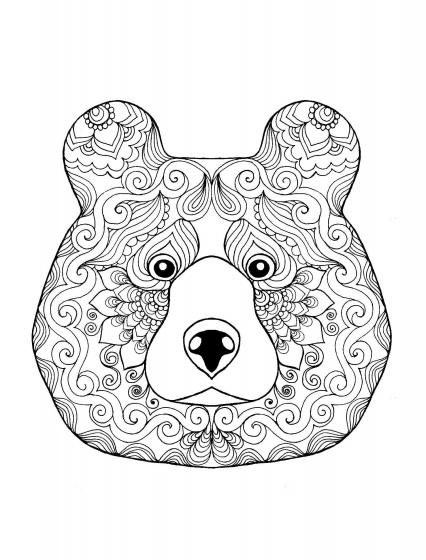 Bears coloring pages for Adults | Free Download and Print