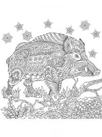 Wild boar and snowflakes