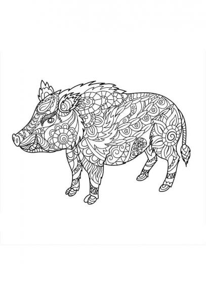 Boar coloring pages for Adults | Free Download and Print