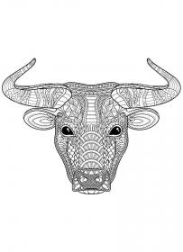 Bull head with horns