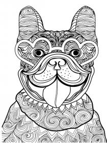Bulldog coloring pages for Adults - Free printable
