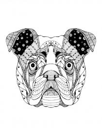 Bulldog coloring pages for Adults - Free printable