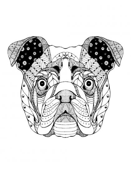 Bulldog coloring pages for Adults