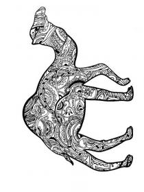 One-humped camel with patterns