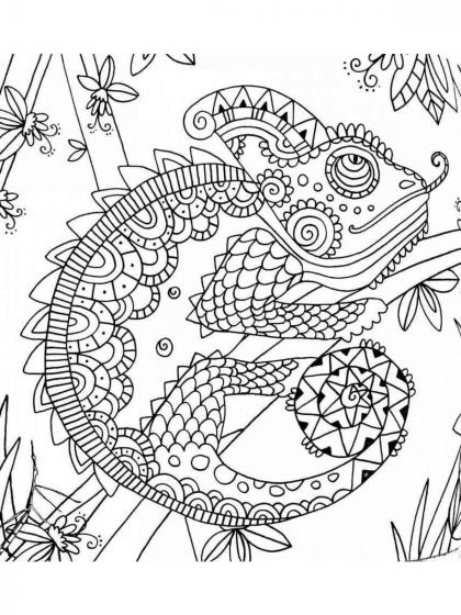 Chameleon coloring pages for Adults