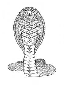 Cobra zentangle