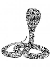 Zentangle cobra