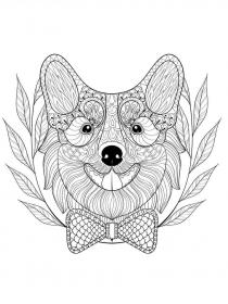 Corgi coloring pages for Adults - Free printable