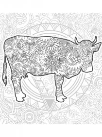 Beautiful cow with patterns