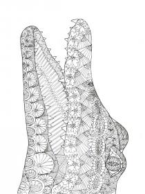 Crocodile coloring pages for Adults - Free printable