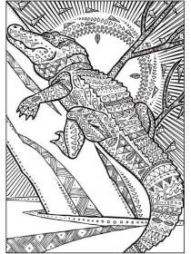 Crocodile coloring pages for Adults - Free printable