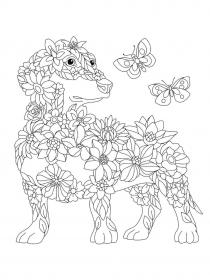 Dachshund coloring pages for Adults - Free printable