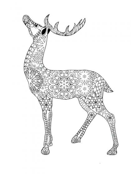 Deer coloring pages for Adults