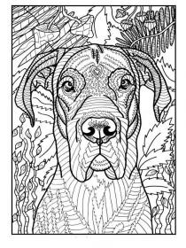 Dogs coloring pages for Adults - Free printable