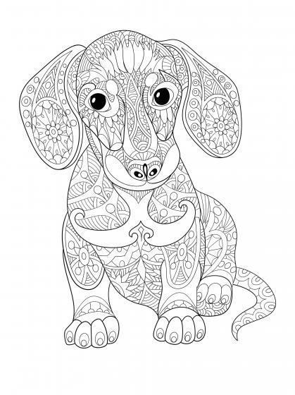 Dogs coloring pages for Adults