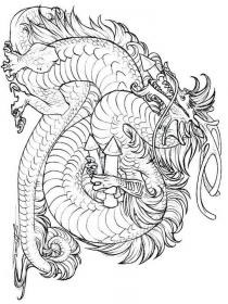 Dragon coloring pages for Adults - Free printable