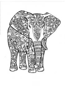 Elephant coloring pages for Adults - Free printable