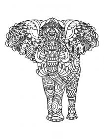 Elephant coloring pages for Adults - Free printable