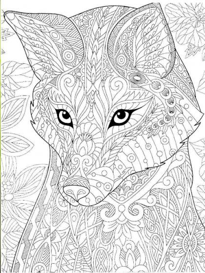 Fox coloring pages for Adults | Free Download and Print