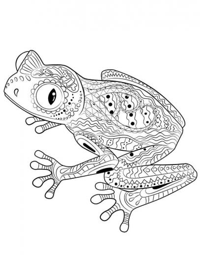 Frog coloring pages for Adults