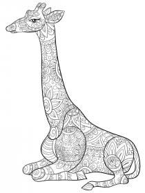 Giraffe coloring pages for Adults - Free printable