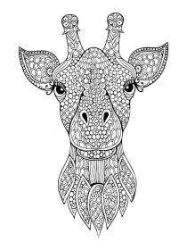 Giraffe coloring pages for Adults - Free printable