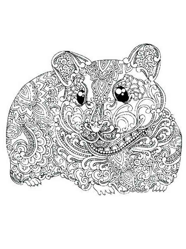 hamster coloring adults printable