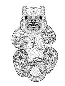 Hamster coloring pages for Adults - Free printable