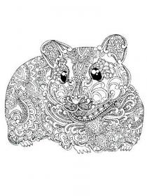 Hamster coloring pages for Adults - Free printable