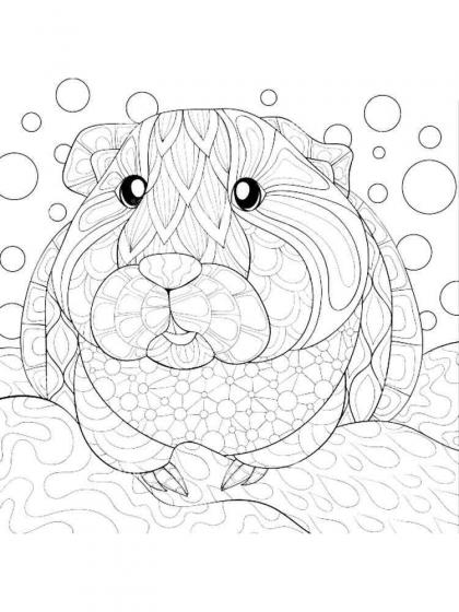 Hamster coloring pages for Adults | Free Download and Print