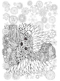 Hedgehog coloring pages for Adults - Free printable