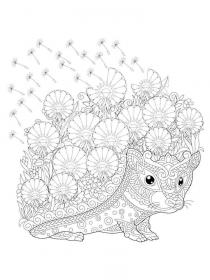 Hedgehog coloring pages for Adults - Free printable