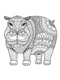 Hippo coloring pages for Adults - Free printable