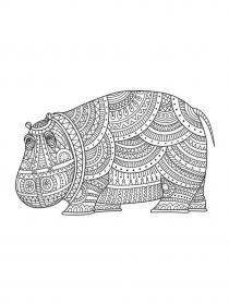 Hippo coloring pages for Adults - Free printable
