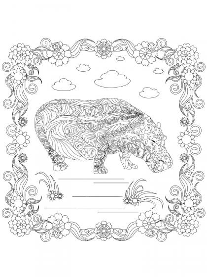 Hippo coloring pages for Adults