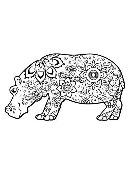 Hippo coloring pages for Adults