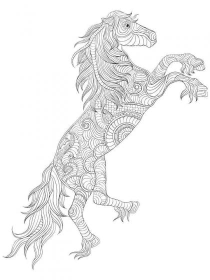 Horse coloring pages for Adults