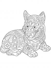 Husky coloring pages for Adults - Free printable